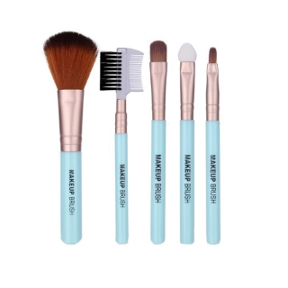 5 pcs Cheap Cosmetic Make Up Brush Set Kit